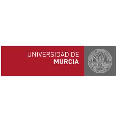 The University Of Murcia